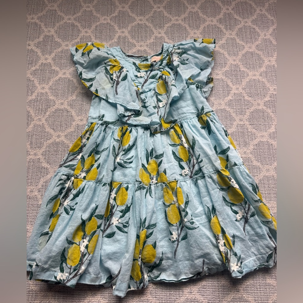Pink Chicken Size Lemon Branch & Floral Dress